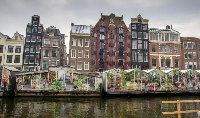 Viaje viaje-europa-holanda-amsterdam-italia-roma-164
