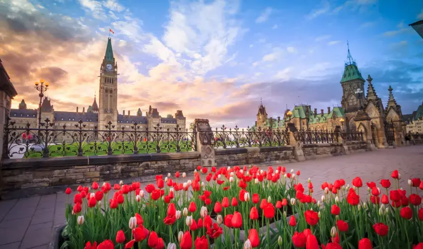 Viaje viaje-canada-toronto-niagara-ottawa-mont-tremblant-quebec-montreal-canada-5287