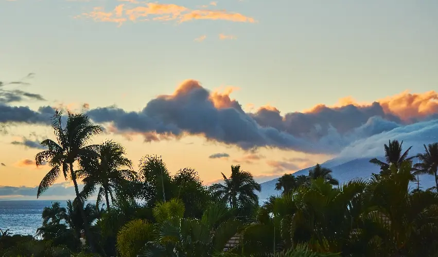 Viaje viaje-estados-unidos-maui-eeuu-5337