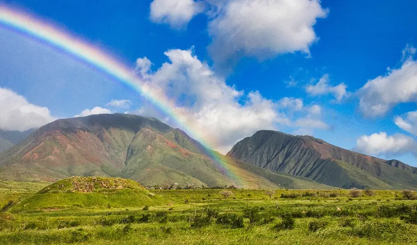 Viaje viaje-estados-unidos-maui-eeuu-5337