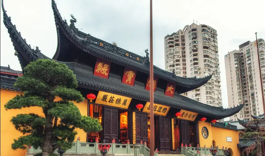 Viaje viaje-shanghai-tvg-5630